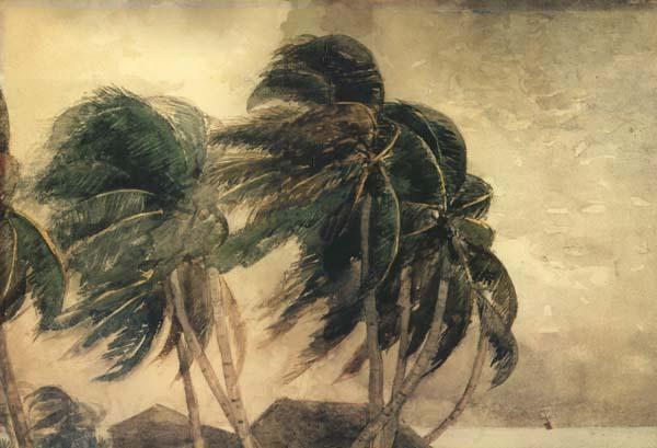 Winslow Homer A Norther,Key West (mk44)